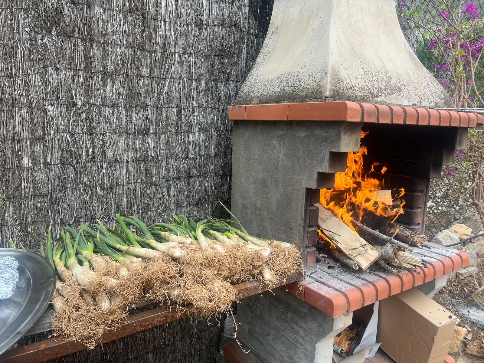 Foto 2 de Asado Argentino en zona montaña